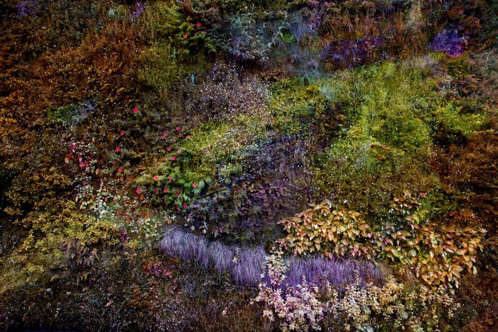 Viet Ha Tran discussing her Wall of Nature series