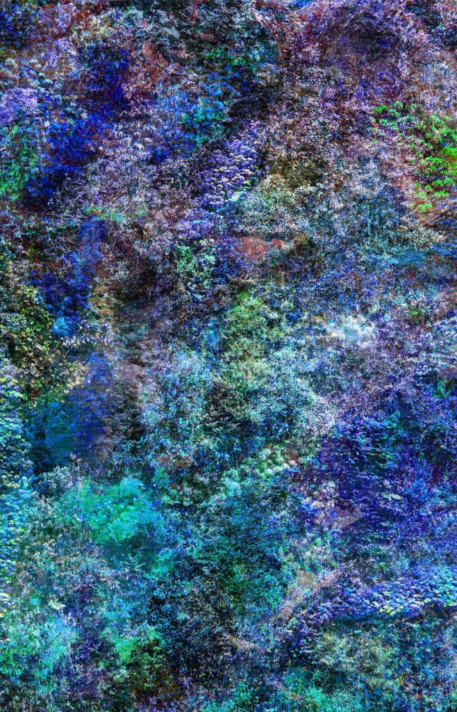 Viet Ha Tran Wall of Nature artwork inspired by Madrid’s vertical garden